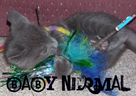 Nermal Nermal