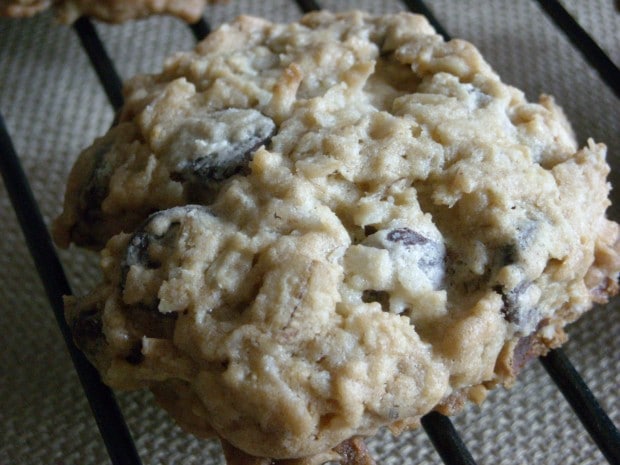 These kitchen sink cookies contain everything but the kitchen sink. Packed full of oats, chocolate chips and coconut. 