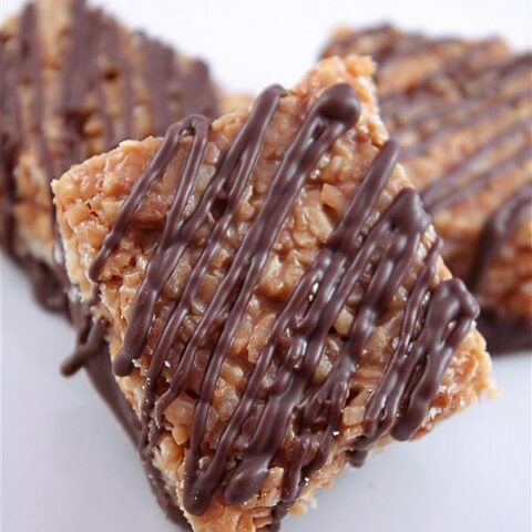 These homemade samoas bars are packed full of cookie flavor. Easy to make and totally delicious in every single way.