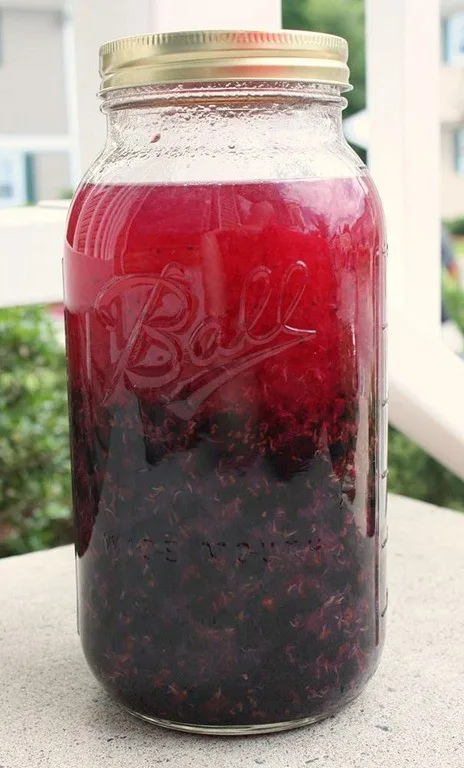 This homemade cassis recipe will teach you how to go from fresh picked black currants to deliciously sweet cassis liqueur. So easy to make and delicious!