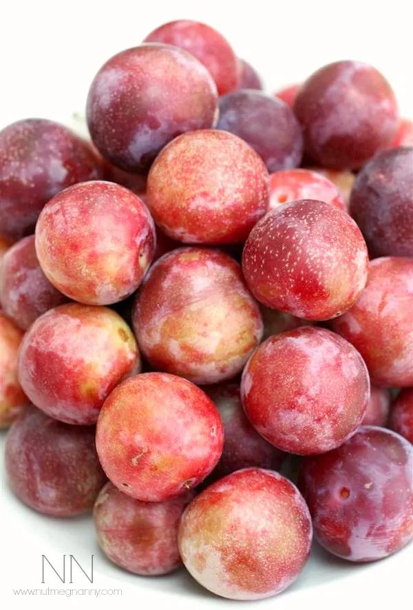 Fresh plums in a bowl. 