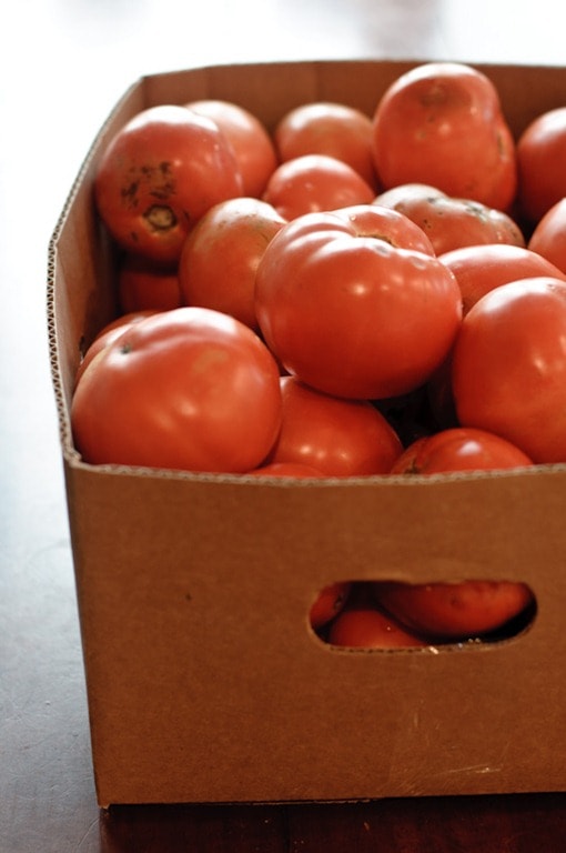 A box full of tomatoes. 