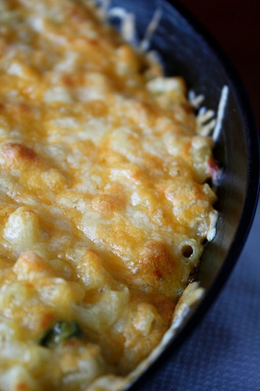 This flavor packed poblano macaroni and cheese recipe is packed full of roasted poblano peppers, lots of cheese and just a hint of zesty lime.