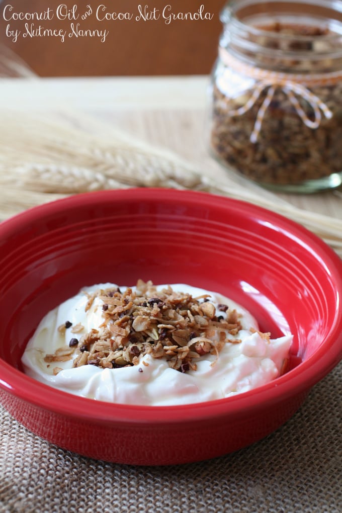 This coconut oil and cocoa nib granola is a breeze to make and tastes great overtop yogurt or eaten straight from the jar. Plus it's perfect mix of salty and sweet. You'll be eating this all year long!
