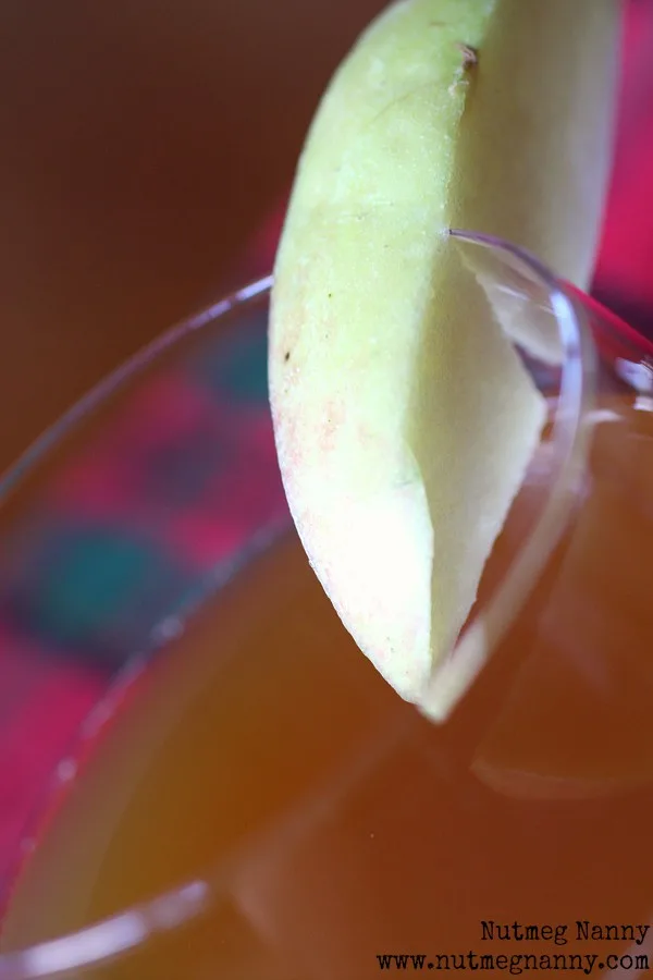 This ginger spiked apple cider is the perfect addition to your fall cocktail menu. It's the perfect use for fresh pressed apple cider and that hint of ginger liqueur and splash of dark rum round out this cocktail perfectly. 