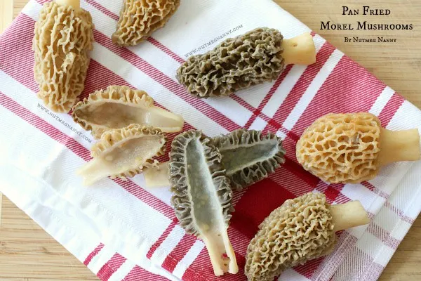 Pan Fried Morel Mushrooms by Nutmeg Nanny