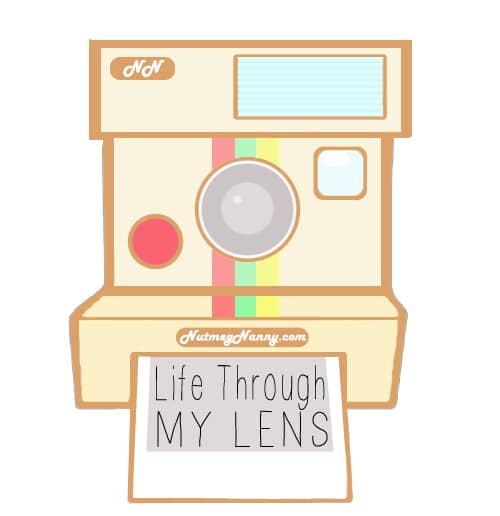 Life Through My Lens by Nutmeg Nanny