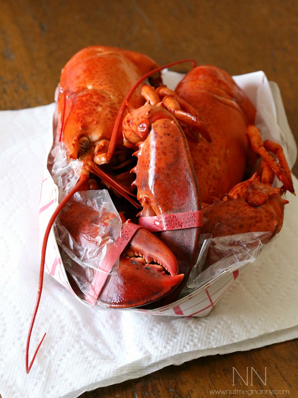 Hot Lobster Roll by Nutmeg Nanny