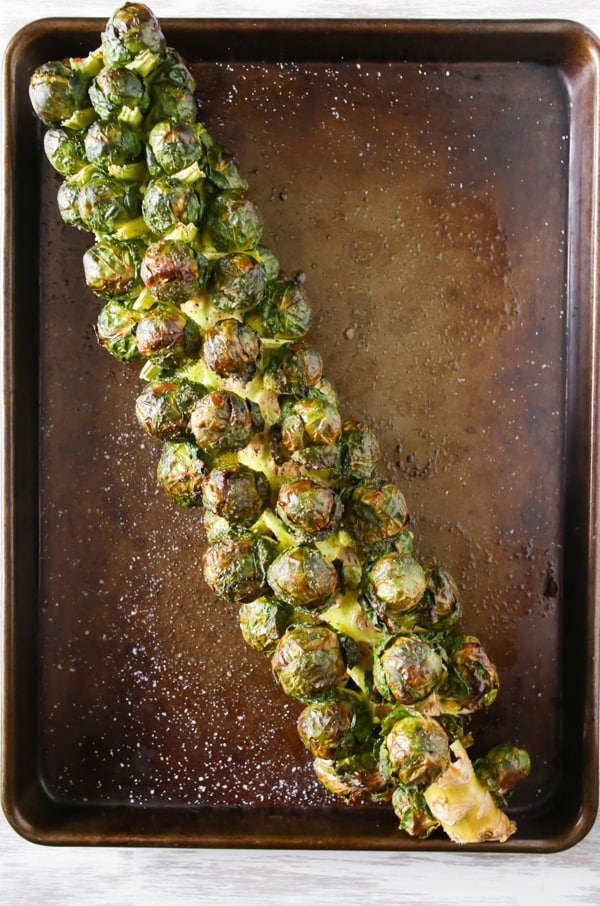 on the stalk roasted Brussels sprouts on a sheet pan