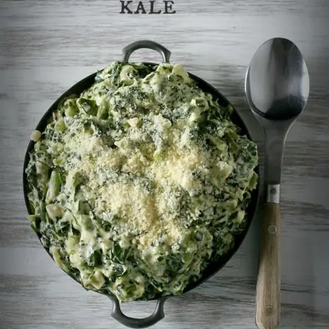 This totally simple creamed kale is the perfect Thanksgiving side dish. Full of healthy kale, cream cheese and a sprinkling of Parmesan cheese. Hello delicious!
