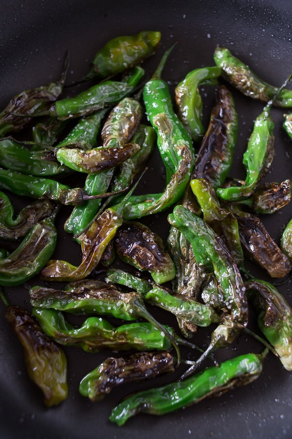 These blistered shishito peppers are the perfect summertime vegetable snack. Cooked quickly in oil and sprinkled with kosher salt for veggie perfection.