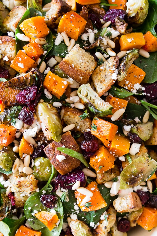 Fall Panzanella Salad topped with dressing. 