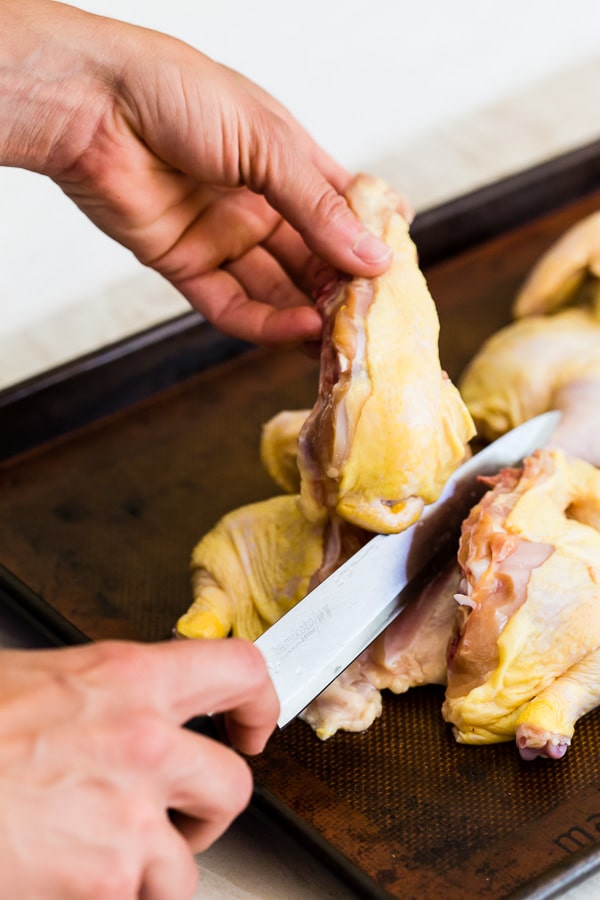 This sheet pan spatchcocked Cornish hens with summer vegetables is the perfect weeknight dinner. It all bakes up on one sheet pan and is packed with perfectly crisp Cornish hens, zucchini, baby potatoes and cherry tomatoes all tossed in an olive oil, oregano, thyme mixture. You'll love this sheet pan meal!