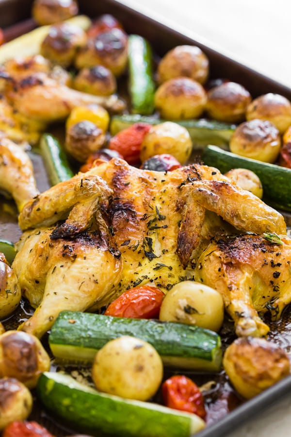 This sheet pan spatchcocked Cornish hens with summer vegetables is the perfect weeknight dinner. It all bakes up on one sheet pan and is packed with perfectly crisp Cornish hens, zucchini, baby potatoes and cherry tomatoes all tossed in an olive oil, oregano, thyme mixture. You'll love this sheet pan meal!