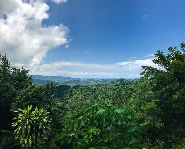 This Costa Rica travel guide will show you where to stay, eat and have fun! If you have never been to Costa Rica you're going to want to book a trip ASAP! 