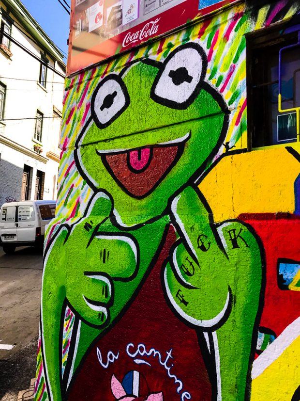 If you find yourself in Chile don't miss the opportunity to go on a Valparaiso Chile graffiti walking tour. The town is full of beautiful street art and graffiti and you will be rewarded with amazing views of the town as you walk up and down the many hills and old stairways of the town. 