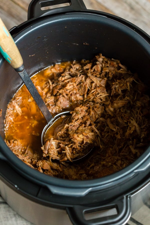 Instant Pot Cranberry Sauce Pulled Pork in the Instant Pot 