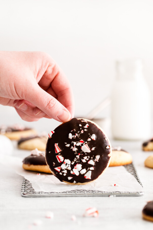 A hand holding a Peppermint Bark Shortbread Cookie. 