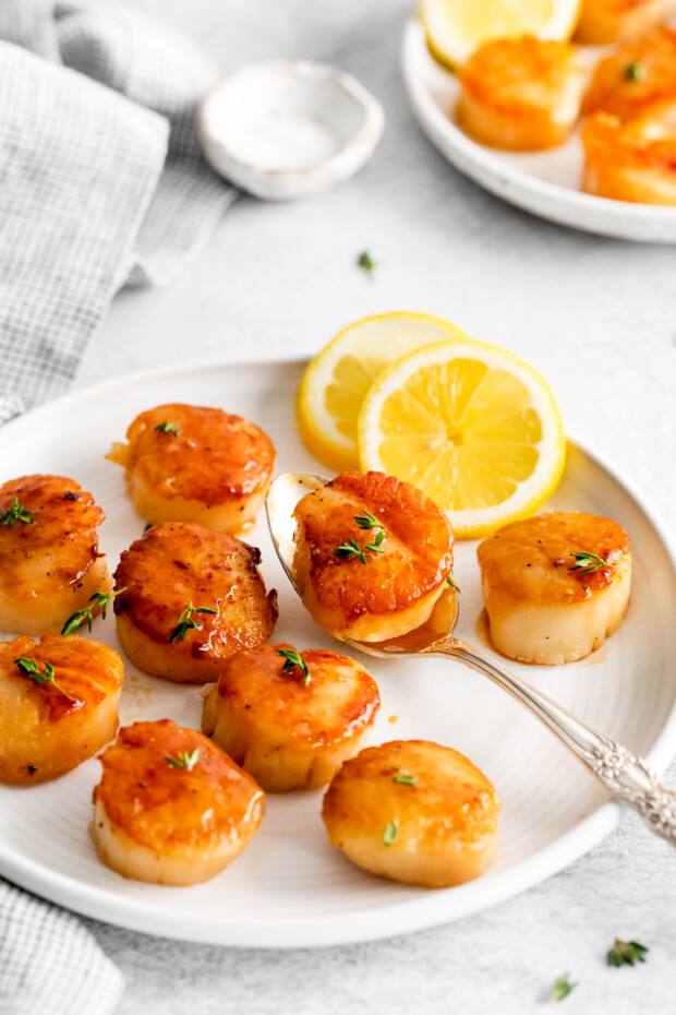 Seared Scallops on a white plate with fresh citrus. 
