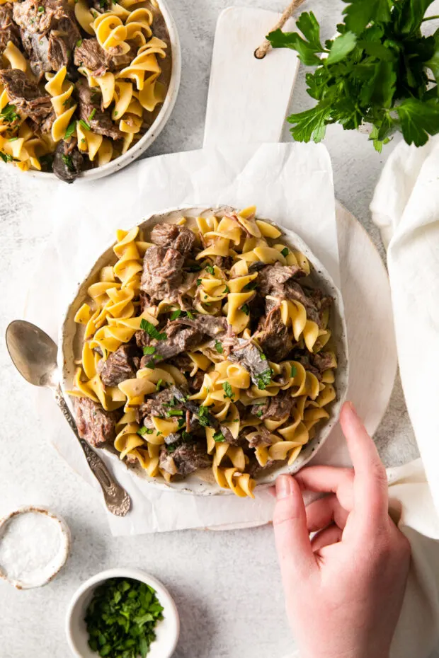 A hand holding a plate of Slow Cooker Beef Stroganoff. 
