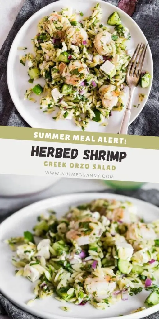 Herbed Shrimp Orzo Salad pin for Pinterest. 