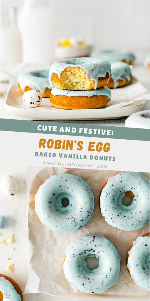 Robin's Egg Baked Donuts pin for Pinterest. 