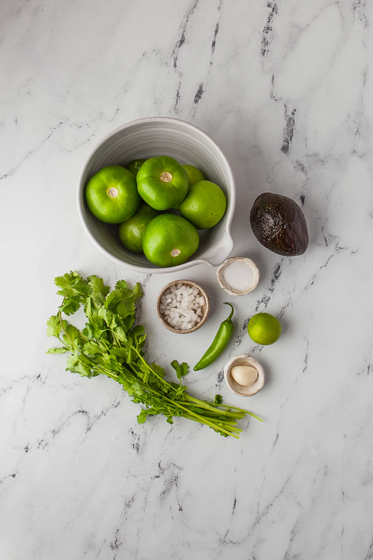 Ingredients to make Homemade Salsa Verde on a table. 
