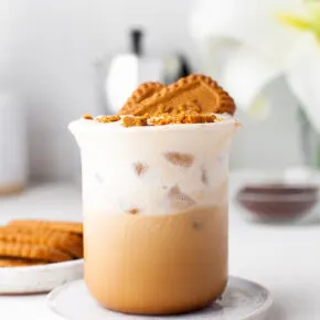 Homemade Cookie Butter Cold Brew Recipe for Coffee Lovers - Best Cold Brew Coffee With Cookies