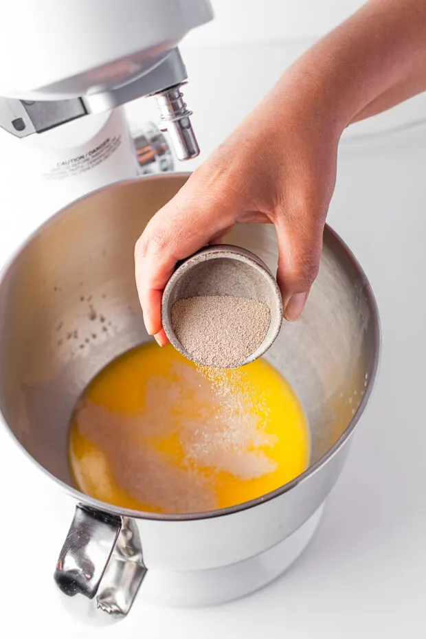 Adding yeast to a bowl of melted butter and milk. 