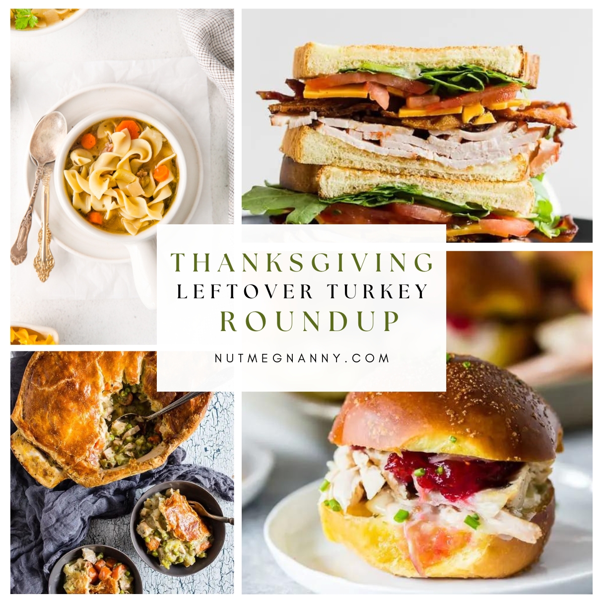 Leftover Turkey Roundup pin for Pinterest. 