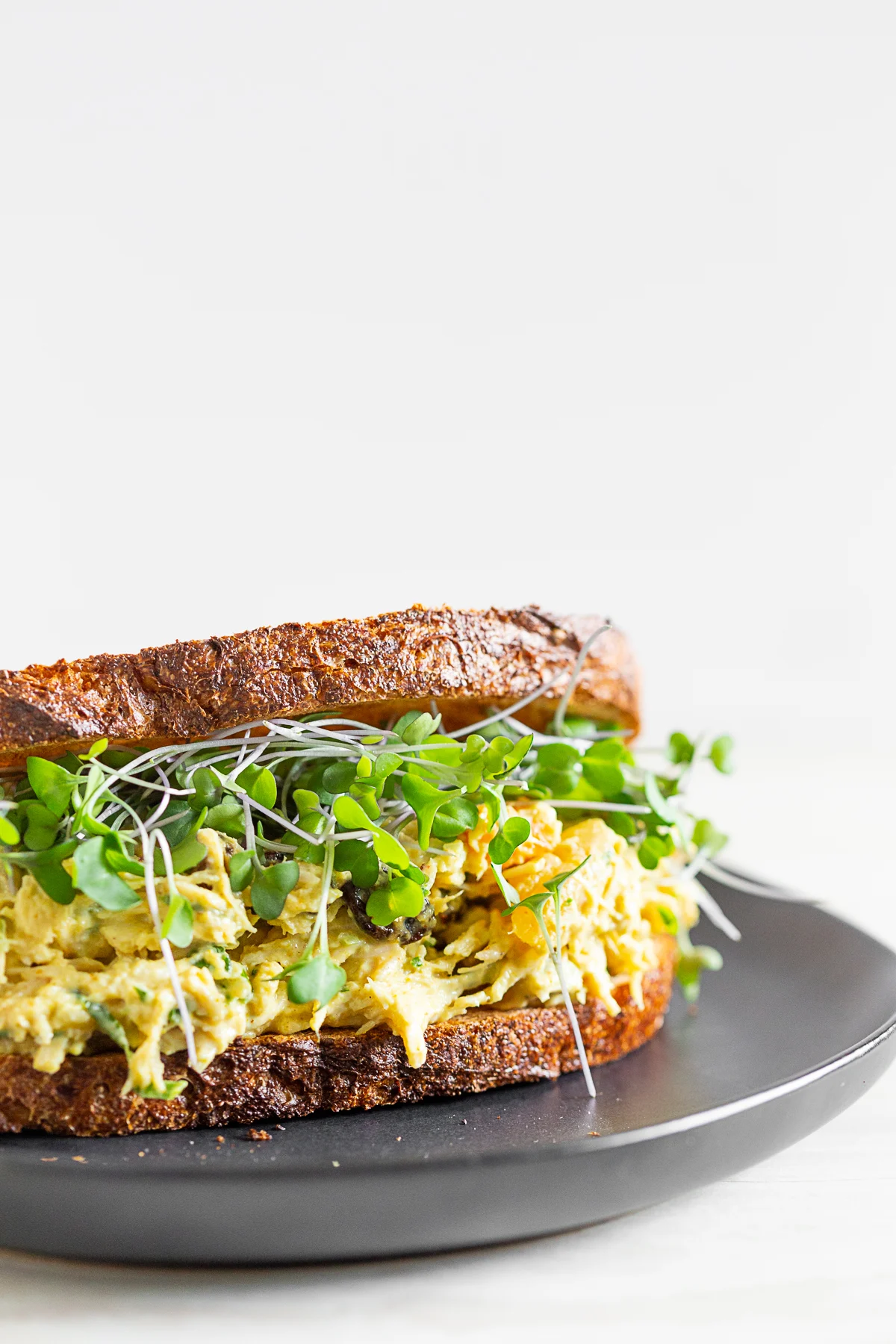 curried chicken salad on toasted bread with microgreens. 